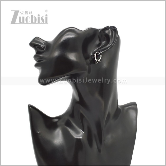 Stainless Steel Earring e002810S