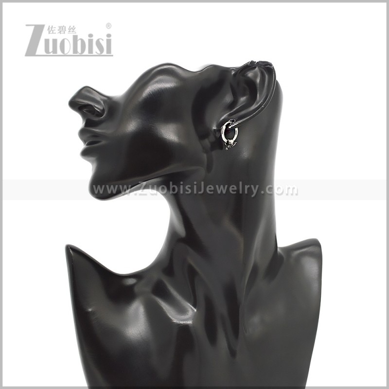 Stainless Steel Earring e002810S