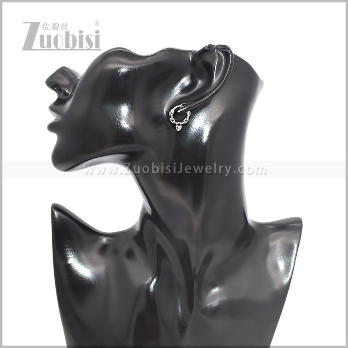 Stainless Steel Earring e002843S