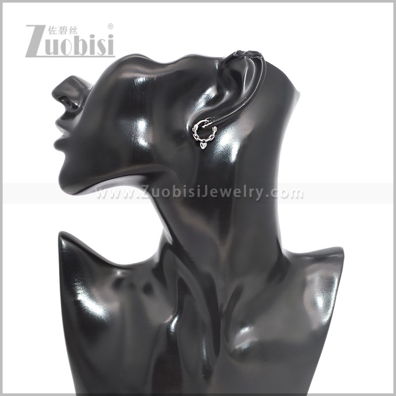 Stainless Steel Earring e002843S