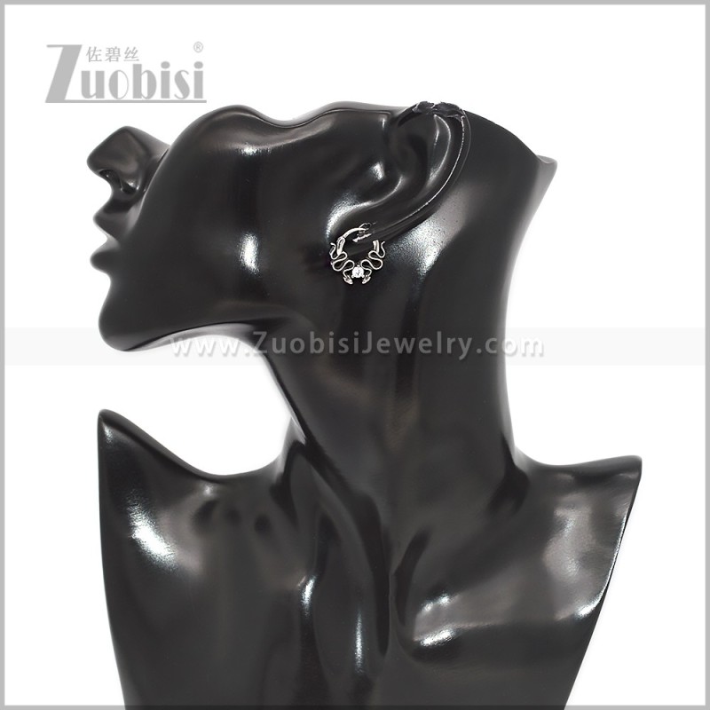 Stainless Steel Earring e002840S