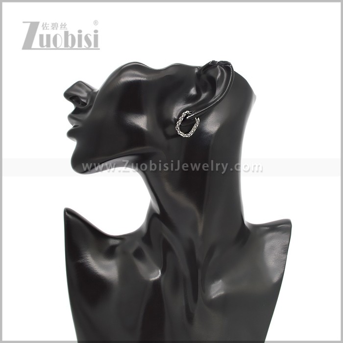 Stainless Steel Earring e002819S