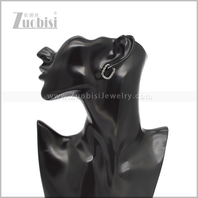 Stainless Steel Earring e002819S