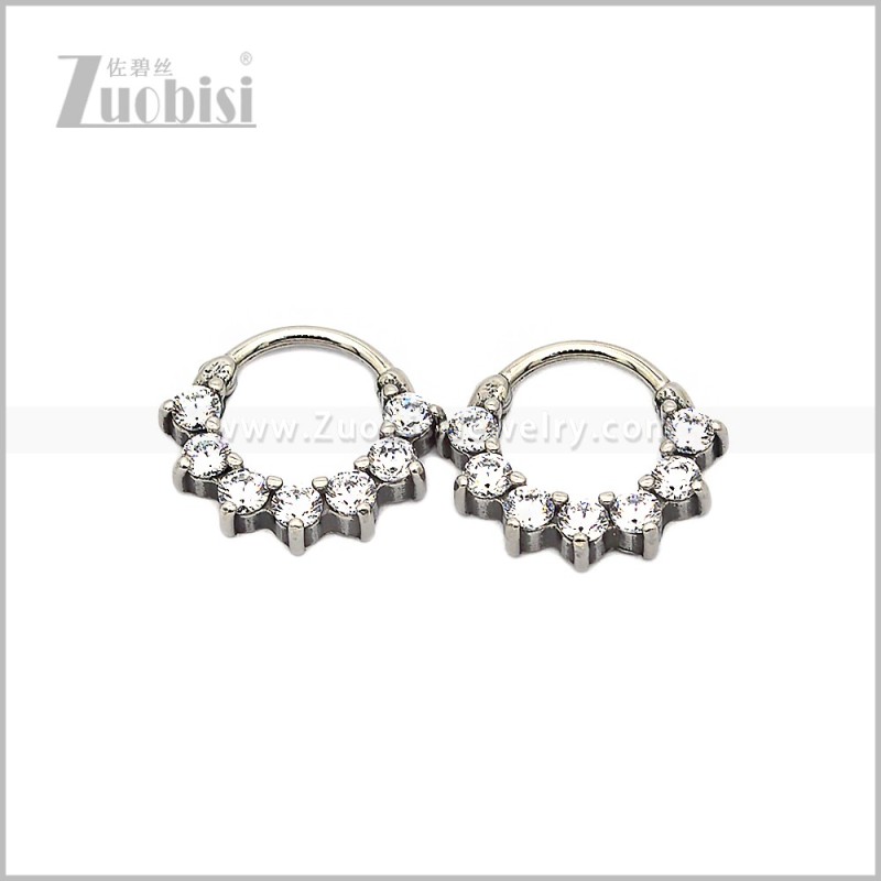 Stainless Steel Earring e002830S
