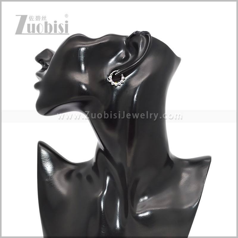 Stainless Steel Earring e002830S