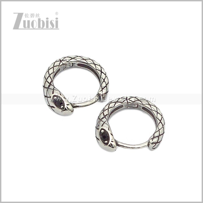 Stainless Steel Earring e002836S