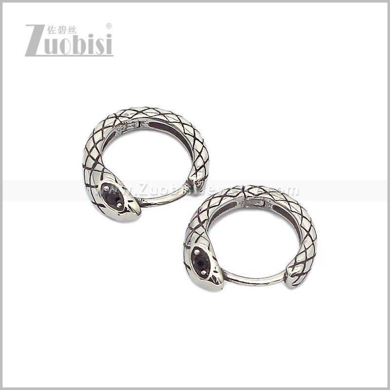 Stainless Steel Earring e002836S