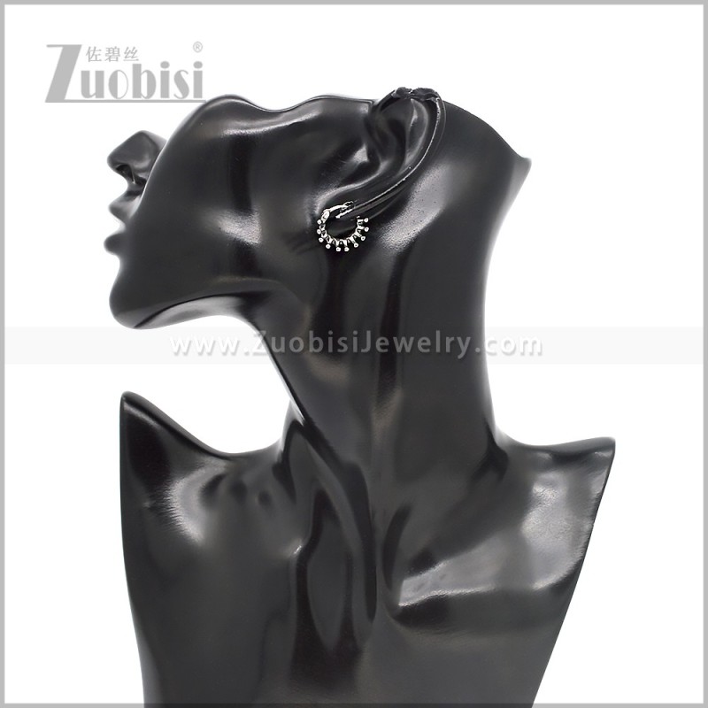 Stainless Steel Earring e002859S