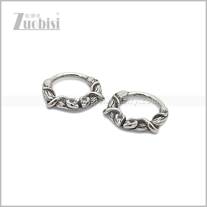 Stainless Steel Earring e002853S