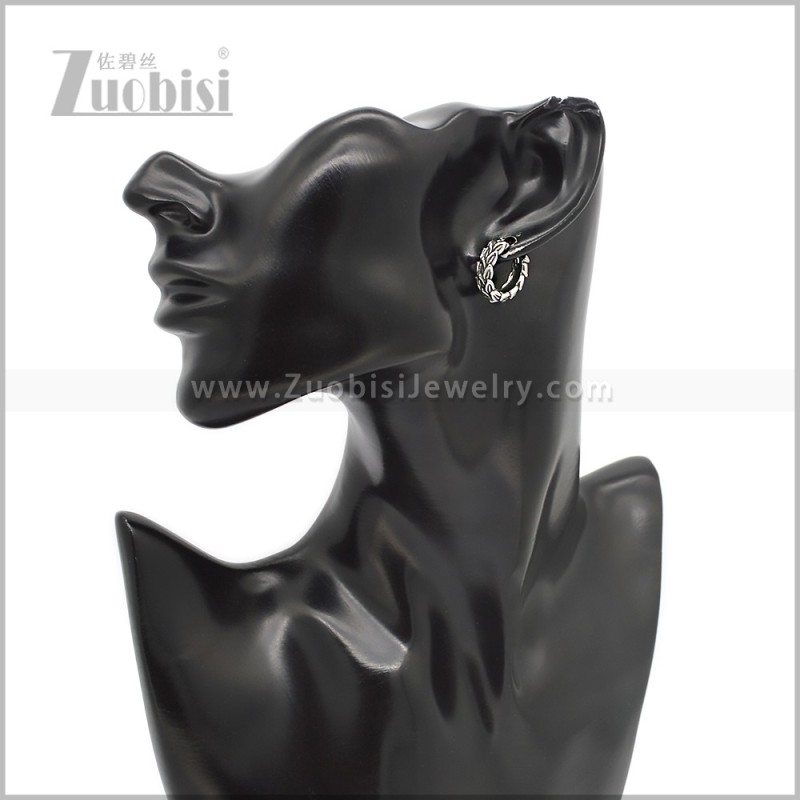 Stainless Steel Earring e002844S