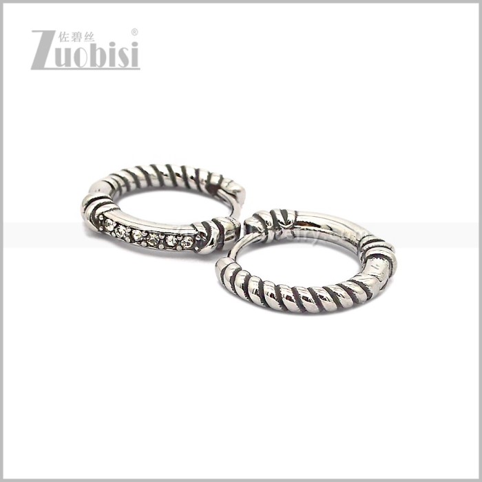 Stainless Steel Earring e002815S