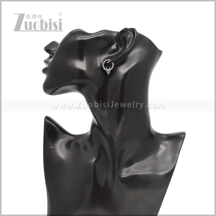 Stainless Steel Earring e002832S