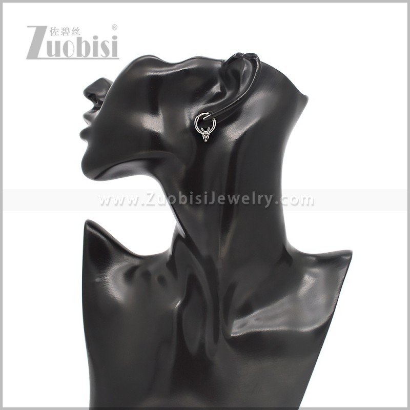 Stainless Steel Earring e002832S