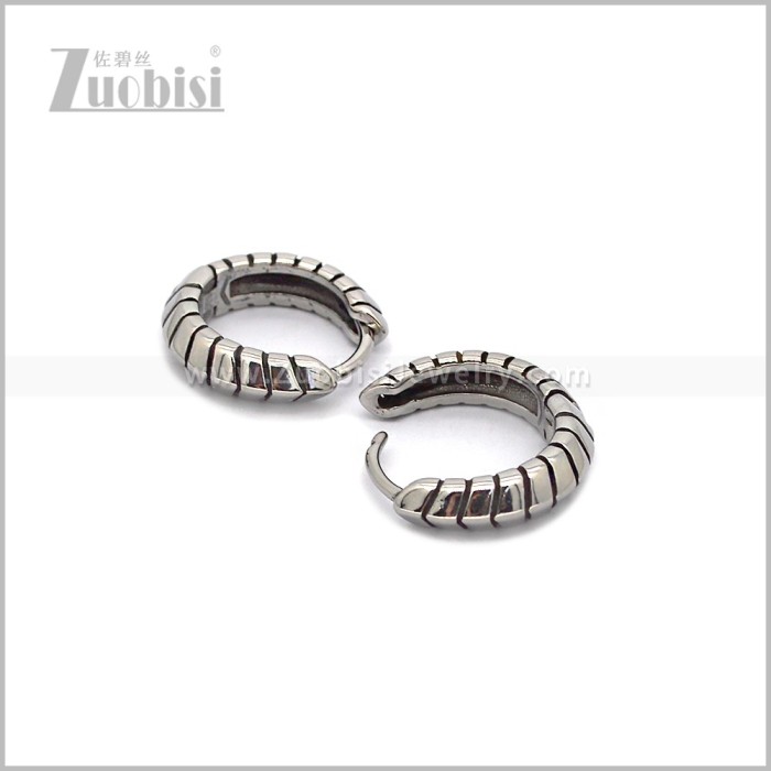 Stainless Steel Earring e002846S
