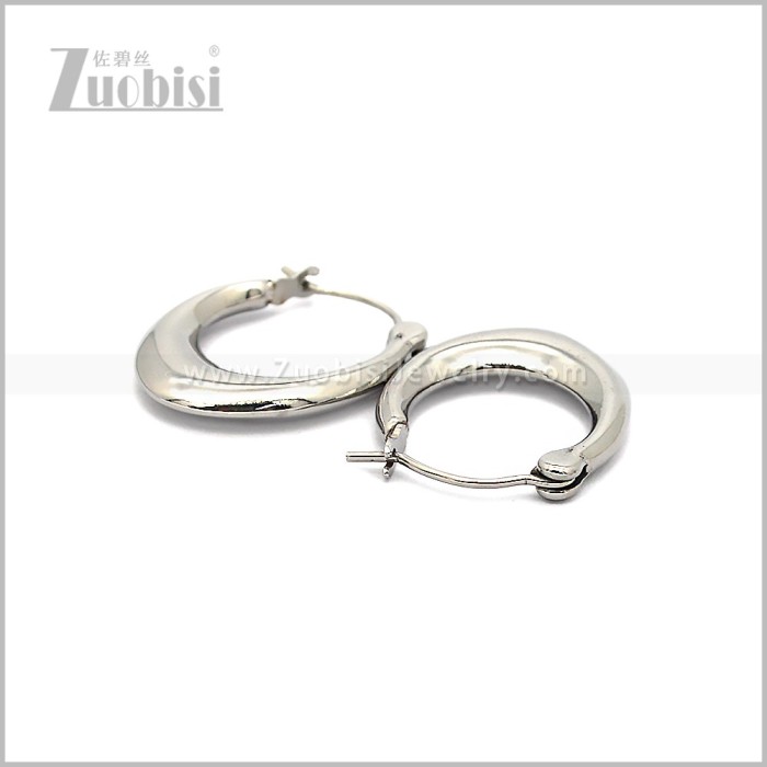 Stainless Steel Earring e002821S