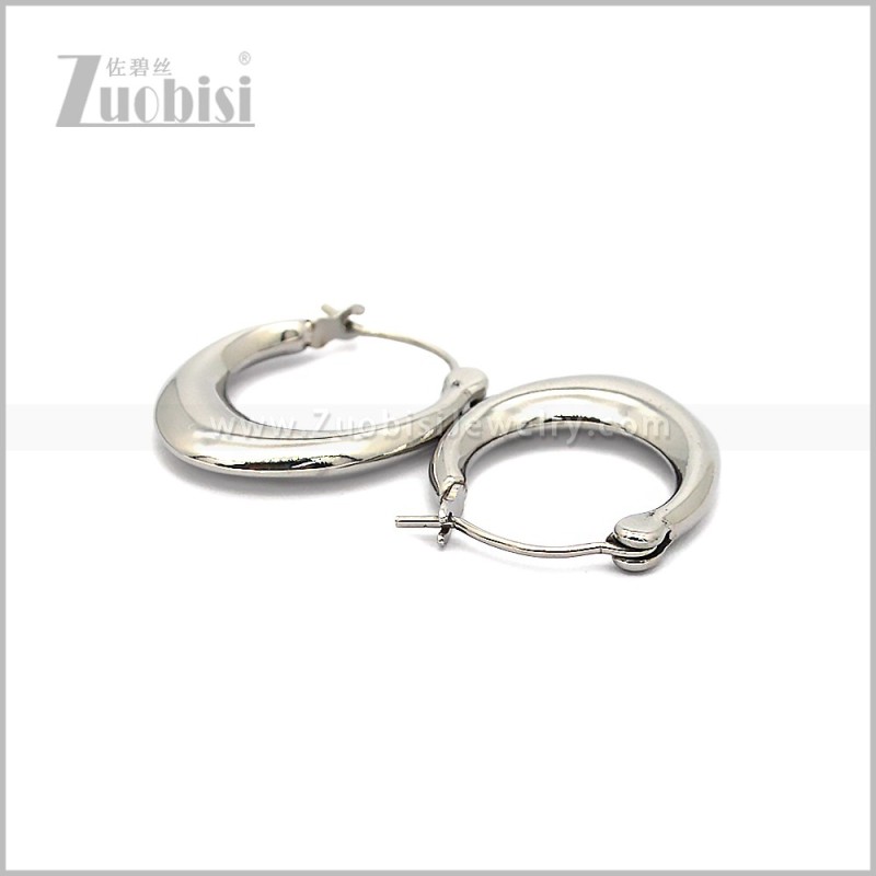 Stainless Steel Earring e002821S