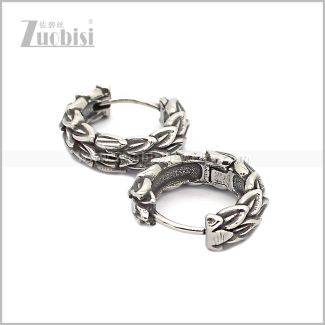 Stainless Steel Earring e002844S