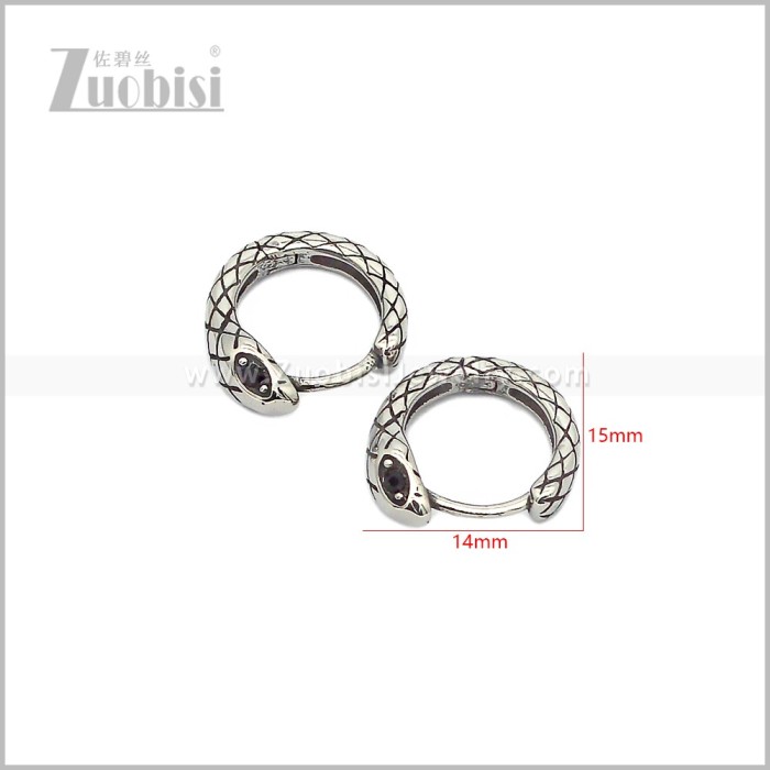 Stainless Steel Earring e002836S