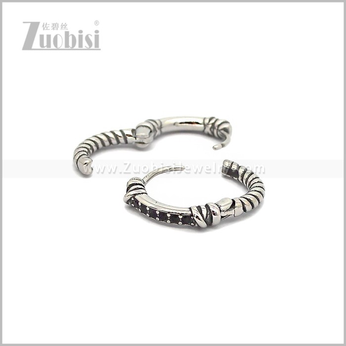 Stainless Steel Earring e002815SH