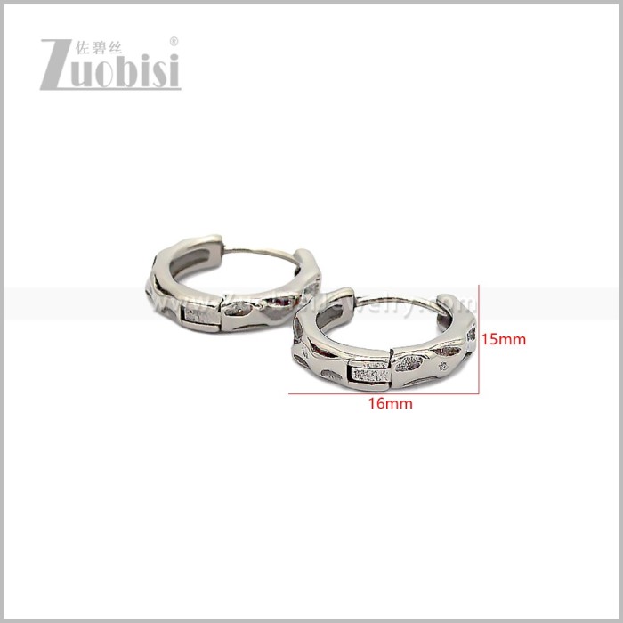 Stainless Steel Earring e002884S