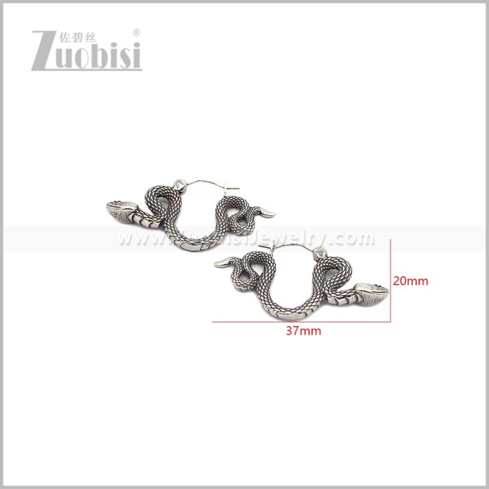 Stainless Steel Earring e002893S