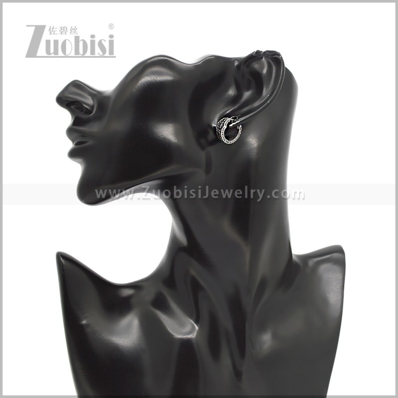 Stainless Steel Earring e002882S
