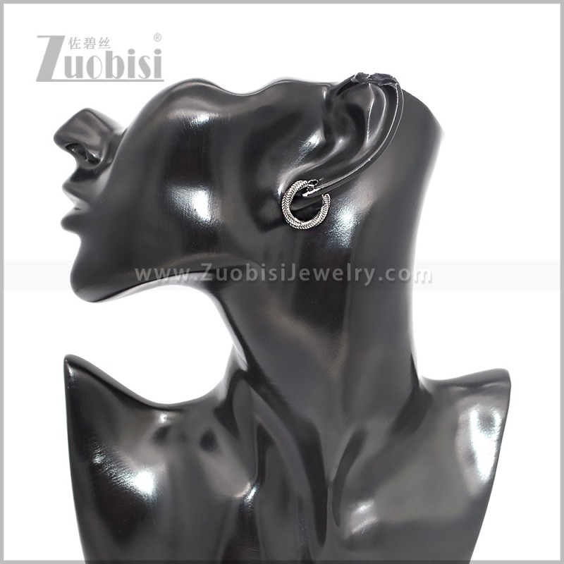 Stainless Steel Earring e002877S