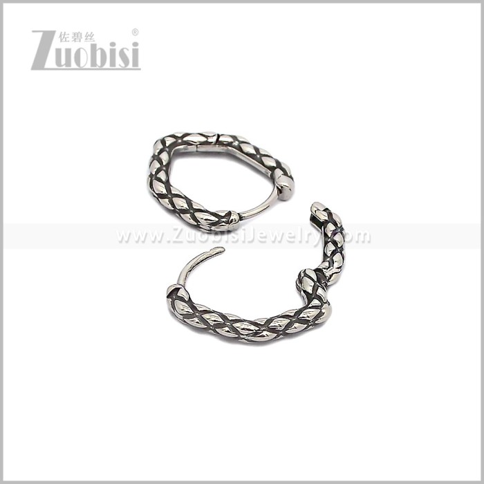 Stainless Steel Earring e002891S