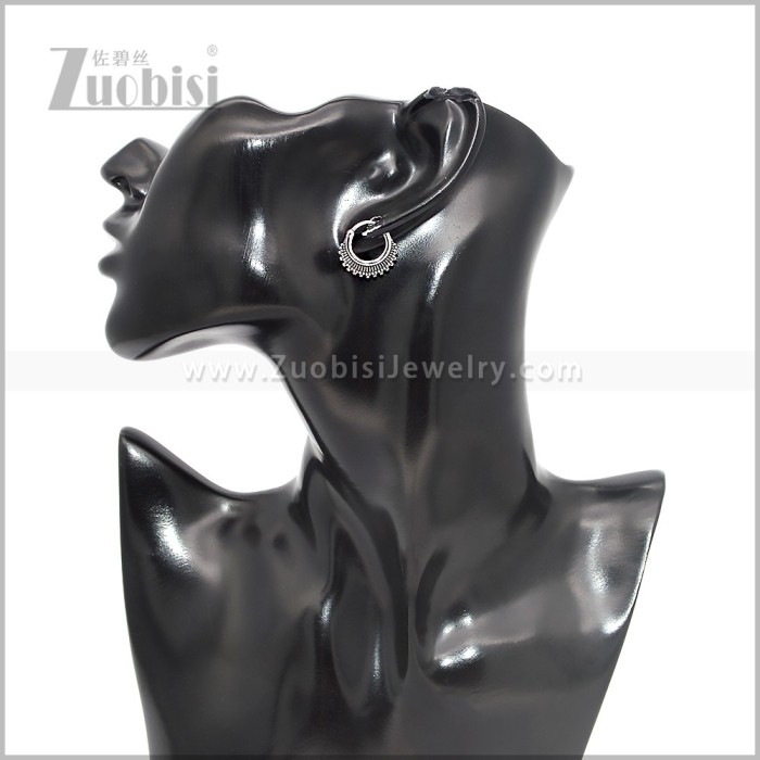 Stainless Steel Earring e002863S
