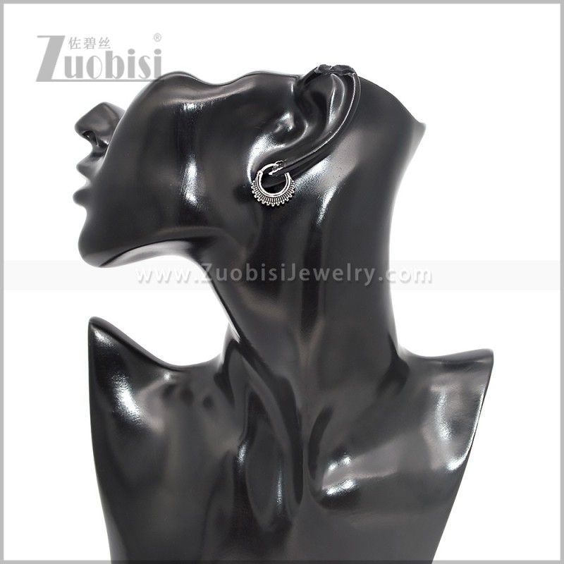 Stainless Steel Earring e002863S