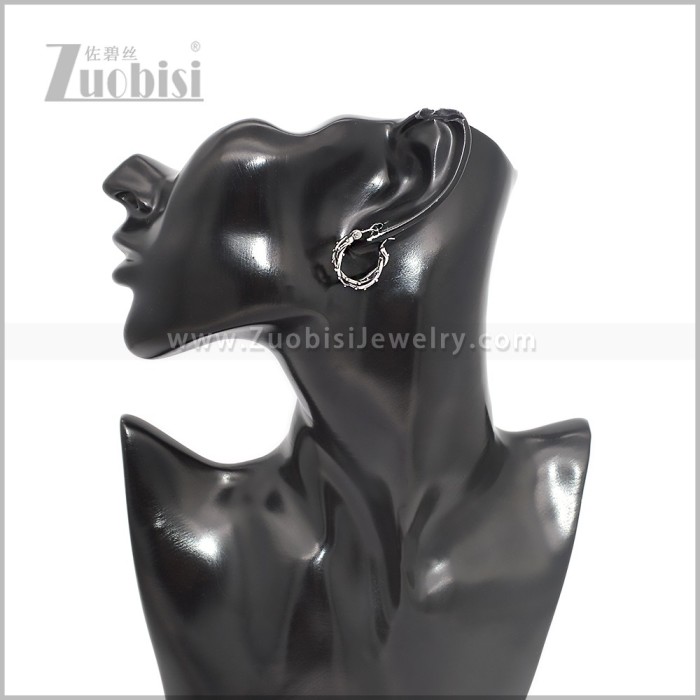 Stainless Steel Earring e002895S