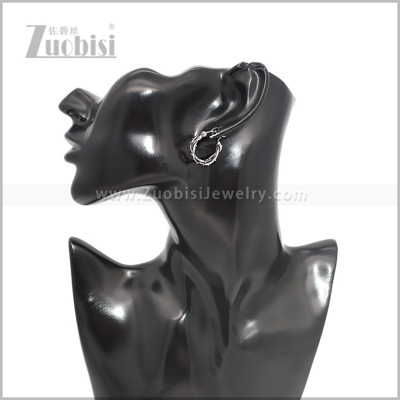 Stainless Steel Earring e002895S