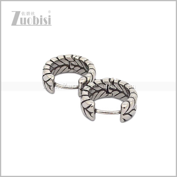 Stainless Steel Earring e002897S