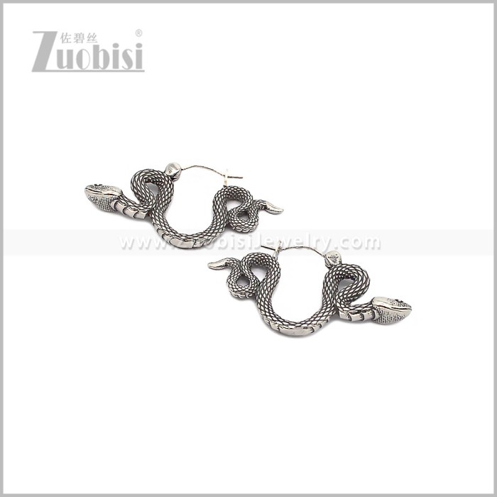Stainless Steel Earring e002893S