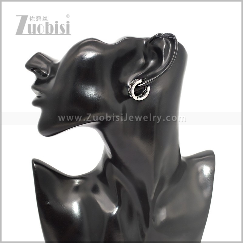 Stainless Steel Earring e002876S