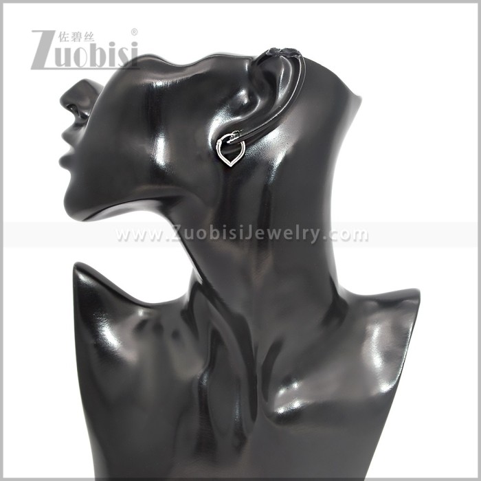 Stainless Steel Earring e002878S