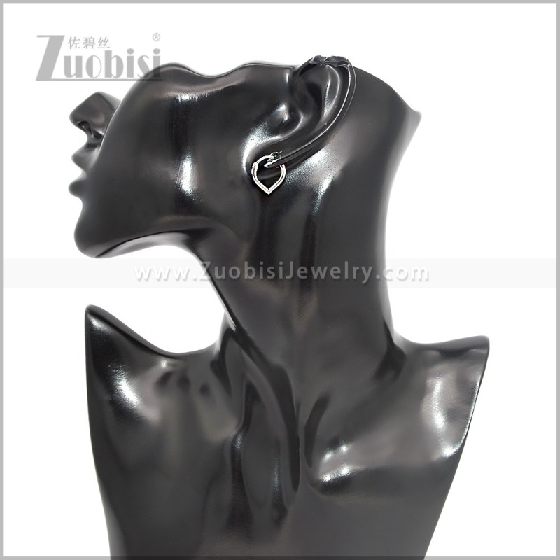 Stainless Steel Earring e002878S