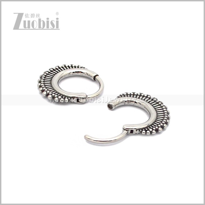 Stainless Steel Earring e002863S