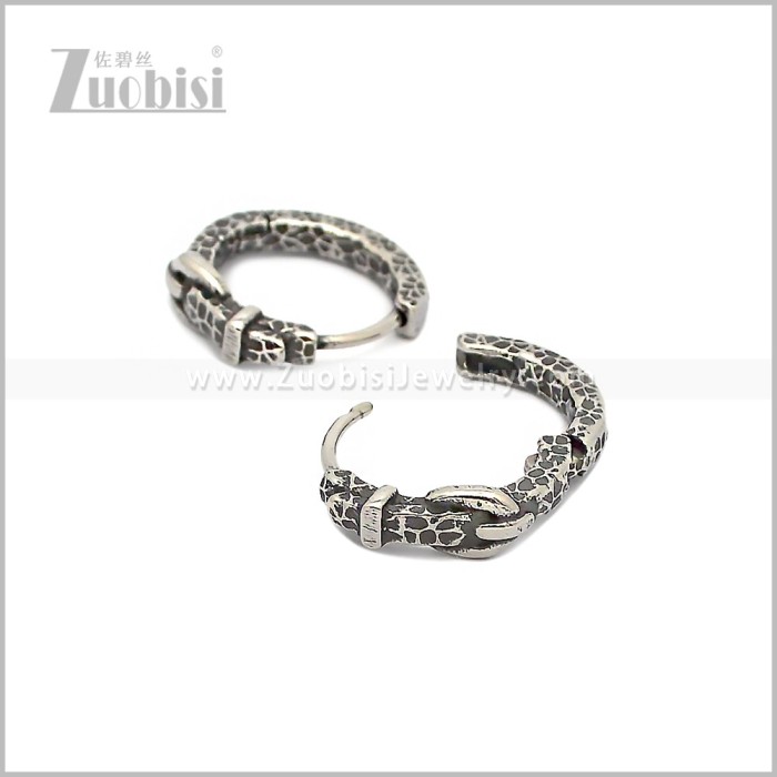 Stainless Steel Earring e002871S