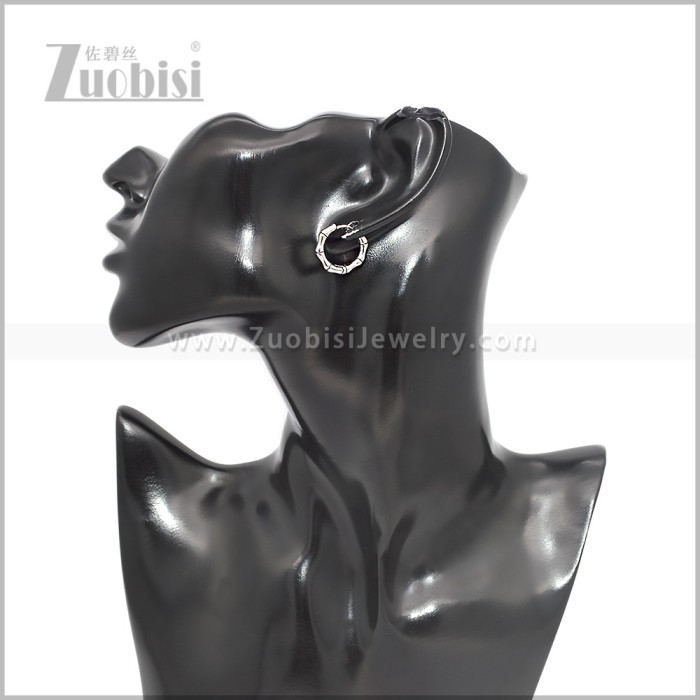 Stainless Steel Earring e002885S