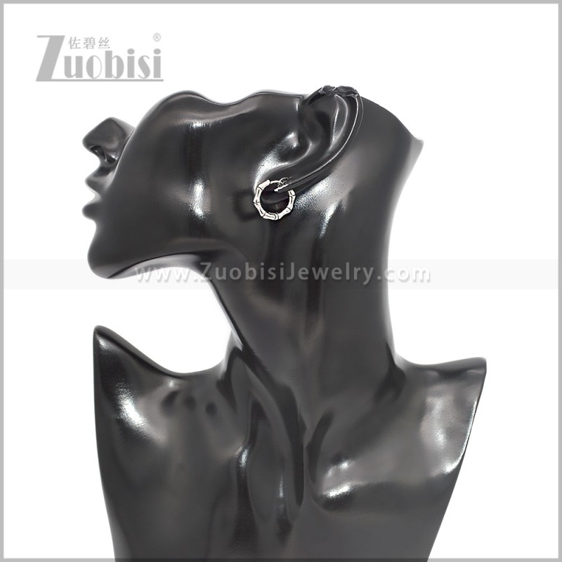Stainless Steel Earring e002885S