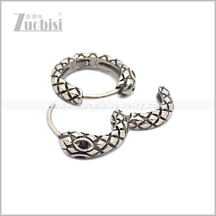 Stainless Steel Earring e002888S
