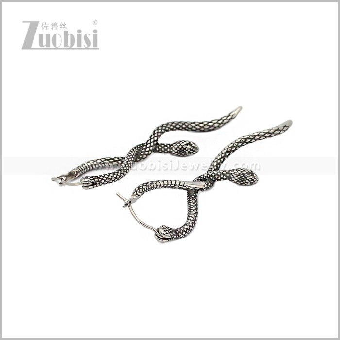 Stainless Steel Earring e002892S