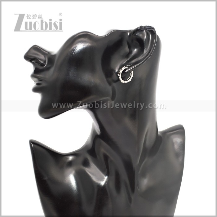 Stainless Steel Earring e002884S