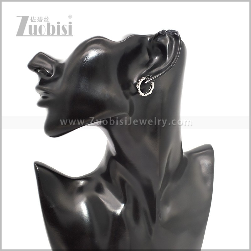Stainless Steel Earring e002884S