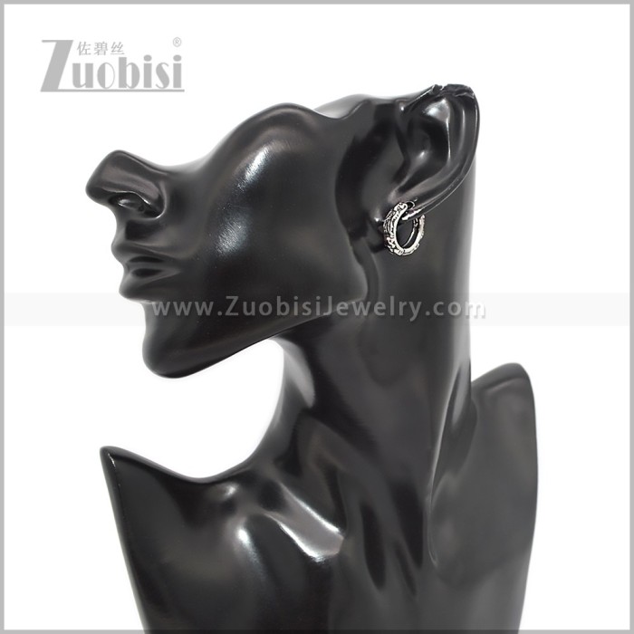 Stainless Steel Earring e002900S
