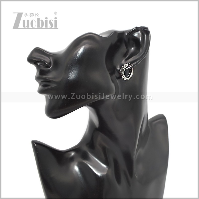 Stainless Steel Earring e002900S