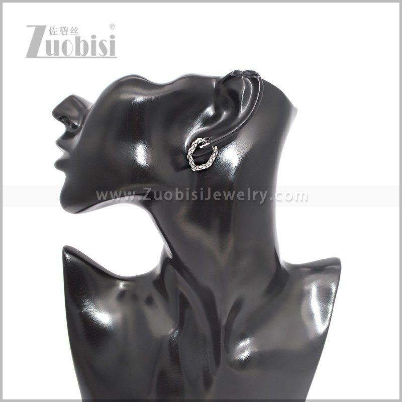 Stainless Steel Earring e002891S