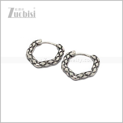 Stainless Steel Earring e002891S
