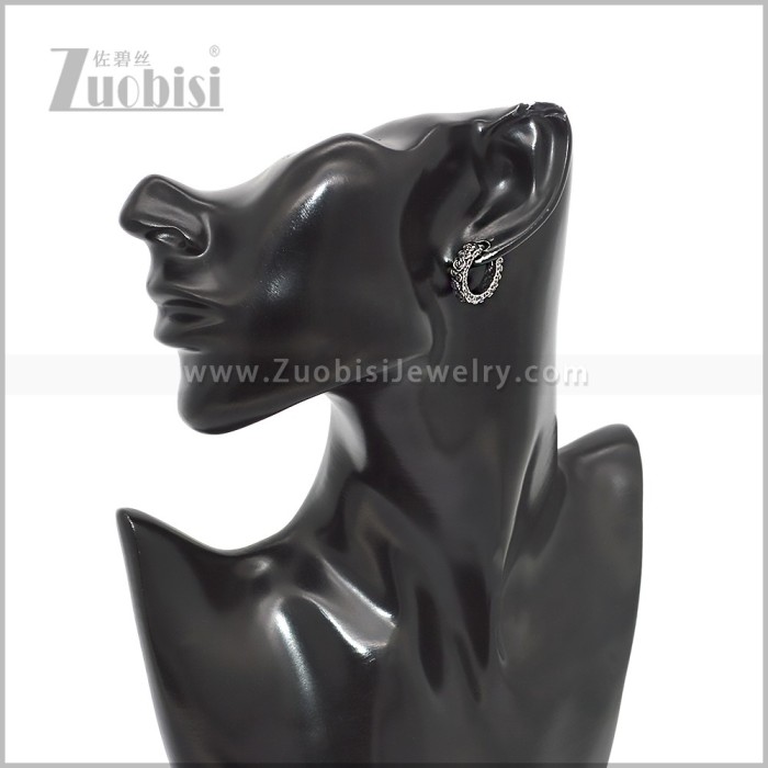 Stainless Steel Earring e002872S